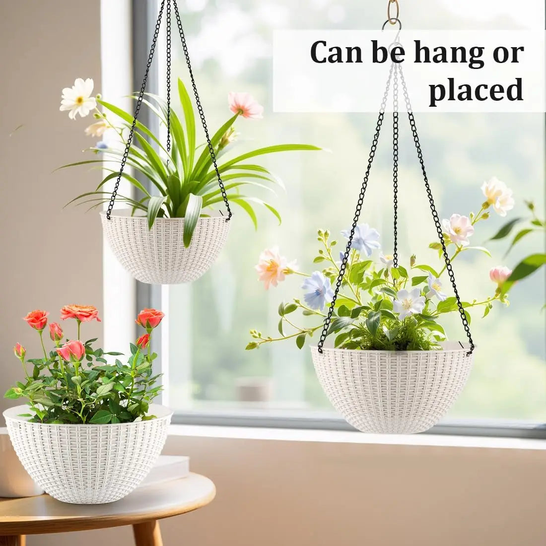 8 and 10 Inch Hanging Planters with Drainage Holes
