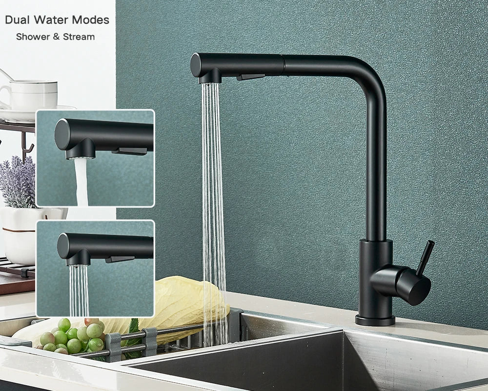 Kitchen Faucet Black Pull Out 2 Ways Nozzle Faucet