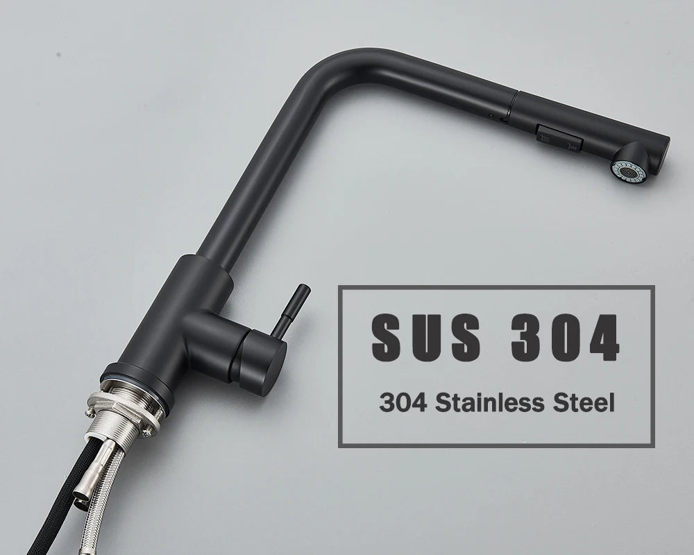 Kitchen Faucet Black Pull Out 2 Ways Nozzle Faucet