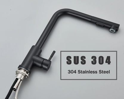Kitchen Faucet Black Pull Out 2 Ways Nozzle Faucet
