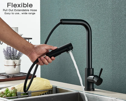 Kitchen Faucet Black Pull Out 2 Ways Nozzle Faucet