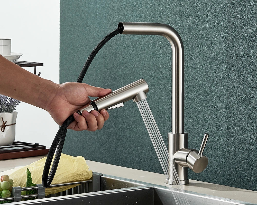 Kitchen Faucet Black Pull Out 2 Ways Nozzle Faucet