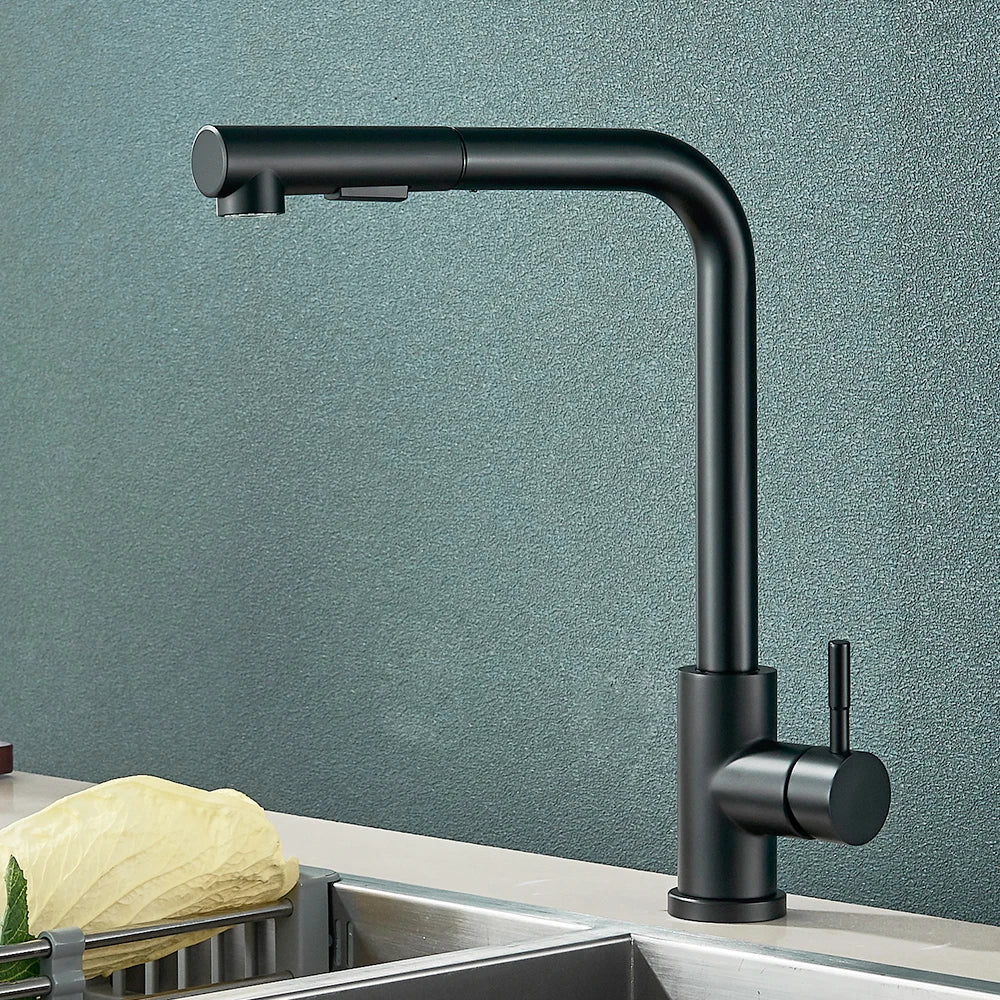 Kitchen Faucet Black Pull Out 2 Ways Nozzle Faucet