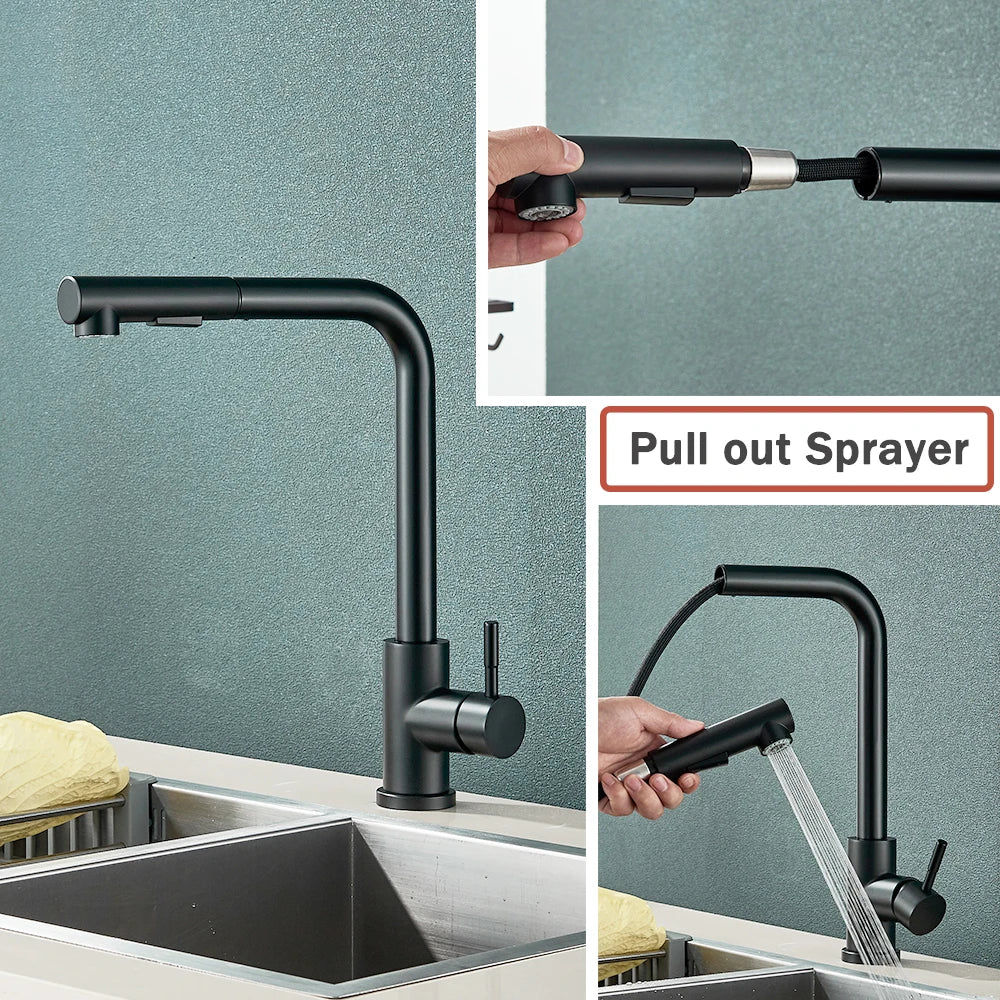 Kitchen Faucet Black Pull Out 2 Ways Nozzle Faucet