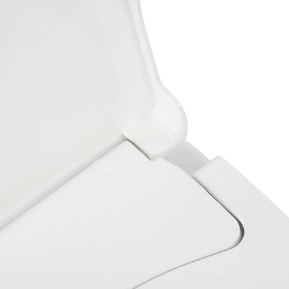Non-Electric Bidet Toilet Seat Lid