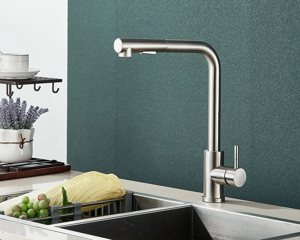 Kitchen Faucet Black Pull Out 2 Ways Nozzle Faucet