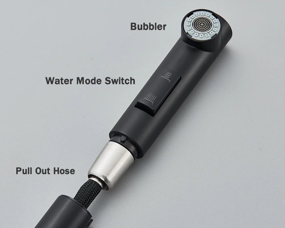 Kitchen Faucet Black Pull Out 2 Ways Nozzle Faucet
