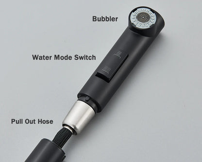Kitchen Faucet Black Pull Out 2 Ways Nozzle Faucet