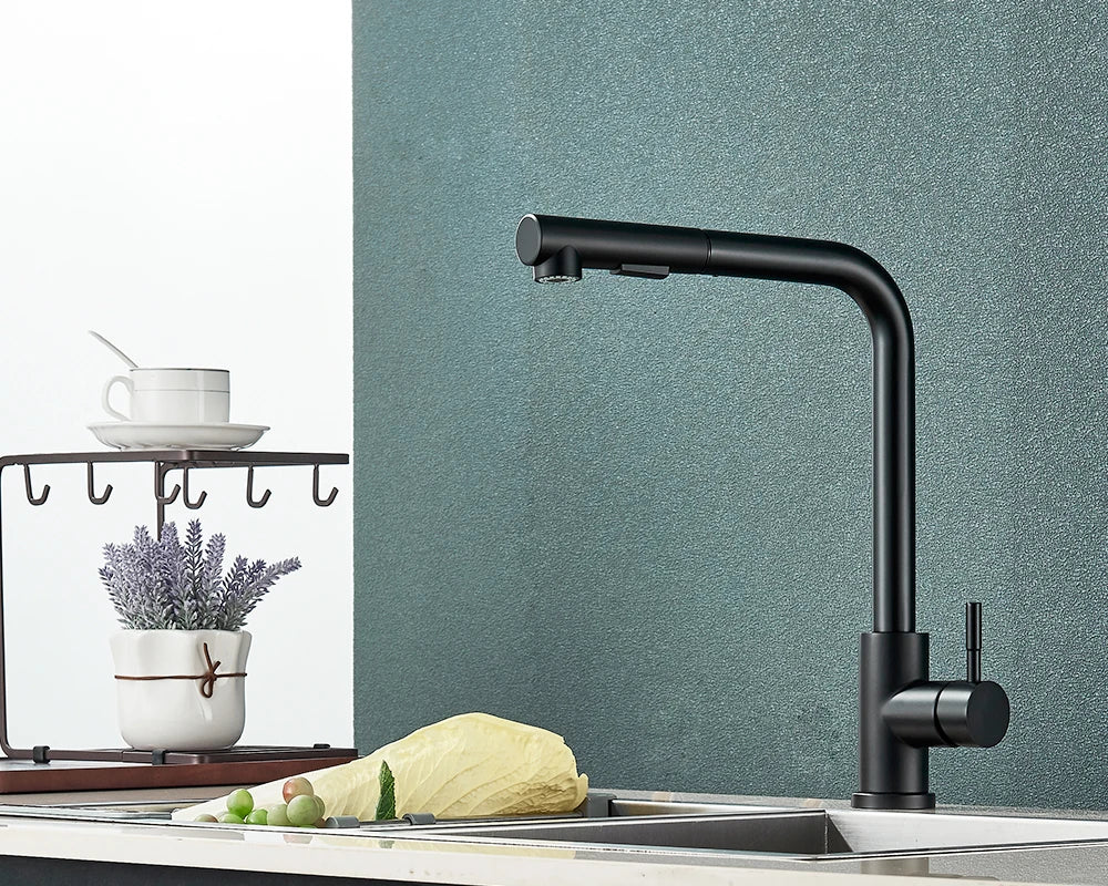 Kitchen Faucet Black Pull Out 2 Ways Nozzle Faucet