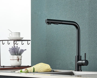 Kitchen Faucet Black Pull Out 2 Ways Nozzle Faucet