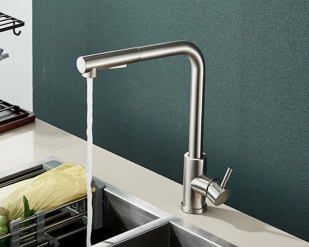 Kitchen Faucet Black Pull Out 2 Ways Nozzle Faucet