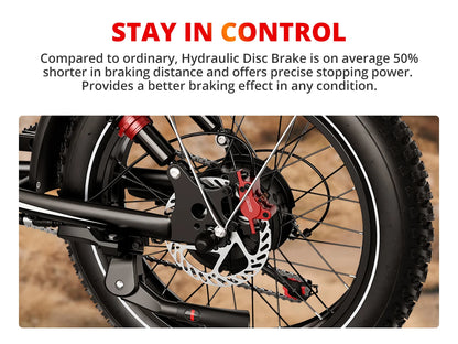 AMYET S8 Adults Electric Bike For Men 2000W