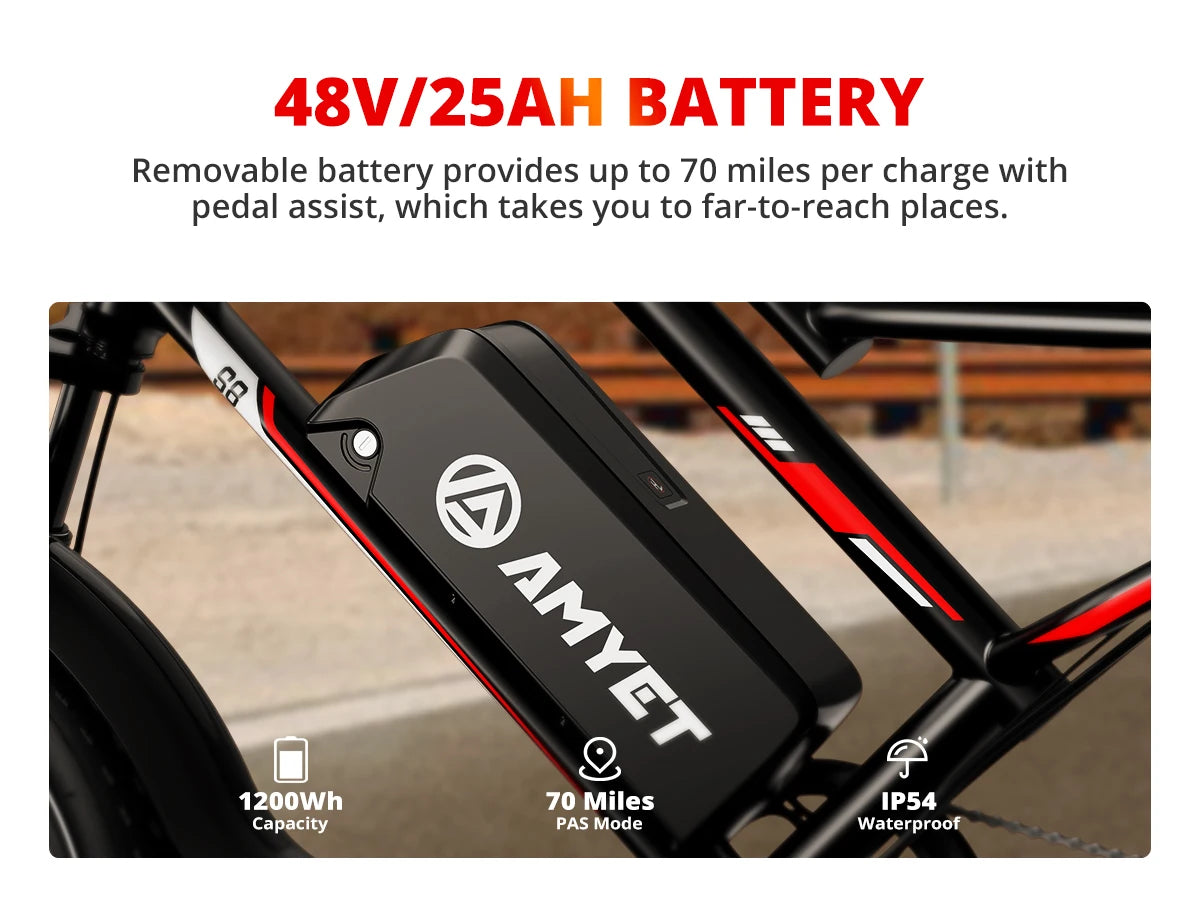 AMYET S8 Adults Electric Bike For Men 2000W